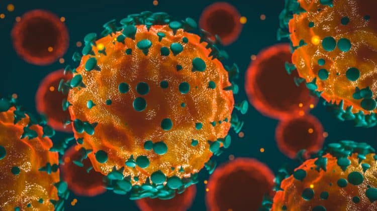 Các bác sĩ tìm kiếm vùng ảnh hưởng từ đầu tới chân: Coronavirus gây tử vong như thế nào?