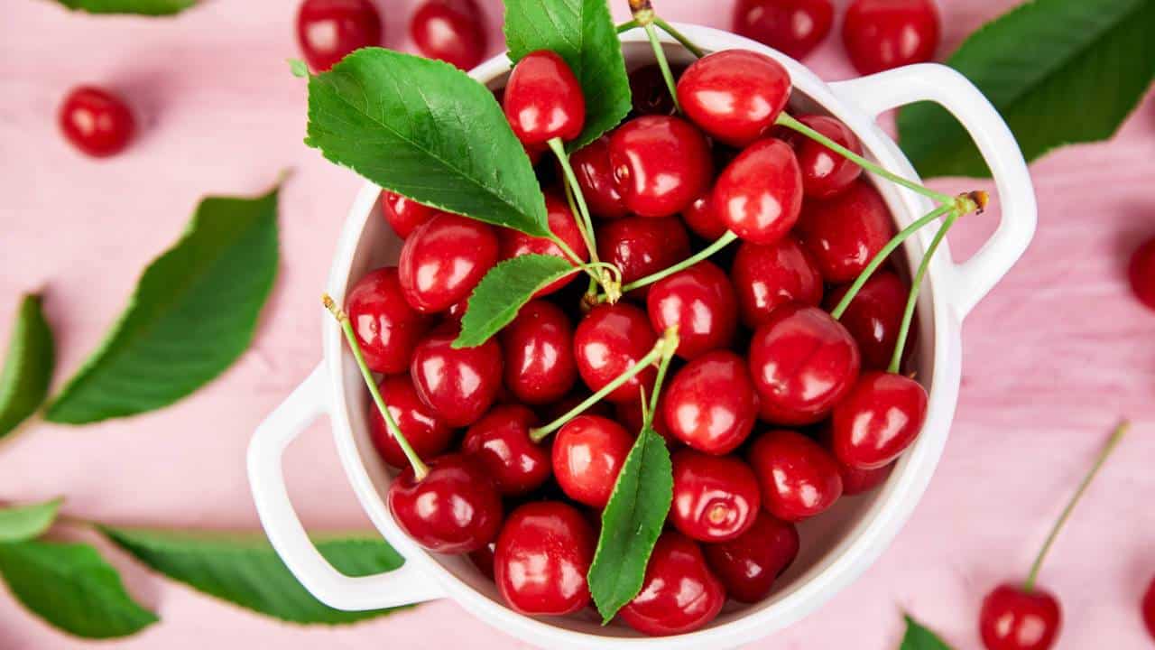 Bà bầu ăn cherry: 8 lợi ích sức khỏe và 4 lưu ý đi kèm
