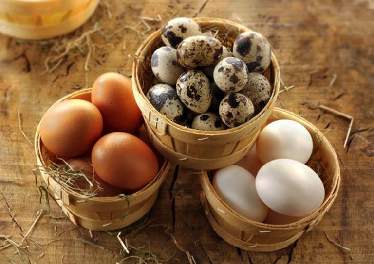 Bệnh gút có được ăn trứng không? (gà, vịt, cút…)