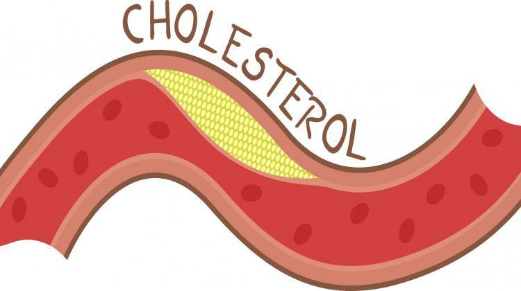Công Dụng Của Đông Trùng Hạ Thảo Với Cholesterol