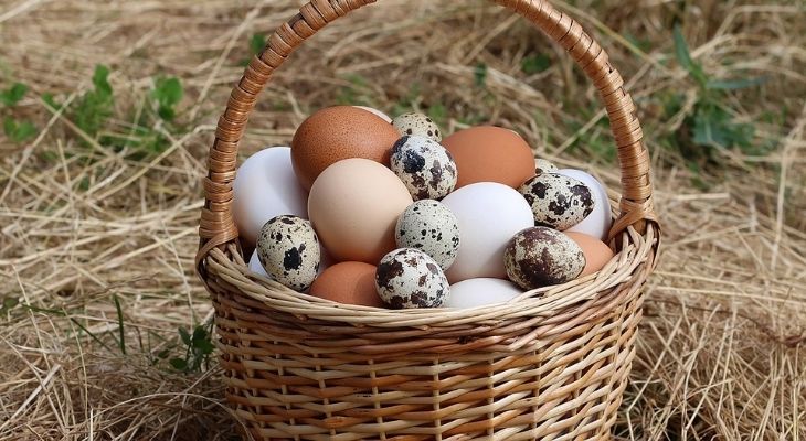 Bị gout có nên ăn trứng? Người bệnh cần sử dụng như thế nào?