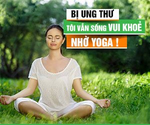 Tác dụng nấm lim xanh
