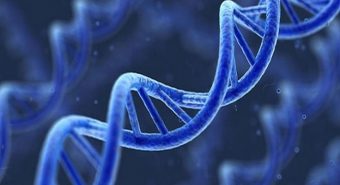 Đâu là thủ phạm gây ung thư tủy xương?