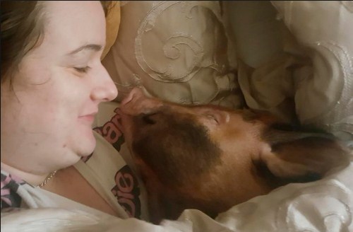 Ngủ với lợn, đôi vợ chồng dùng cả mặt nạ phòng độc trong nhà