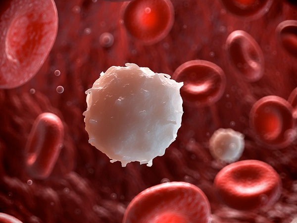 Tế bào ung thư máu