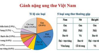 Tỷ lệ đàn ông Việt Nam chết do ung thư thuộc loại cao trên thế giới