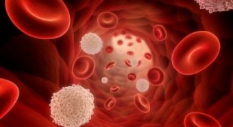 Ung thư máu và phương pháp điều trị bằng ghép tủy
