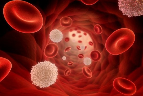 Ung thư máu – căn bệnh nguy hiểm có tỷ lệ tử vong cao