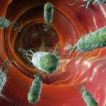 Vi khuẩn Helicobacter Pylori gây bệnh đau dạ dày