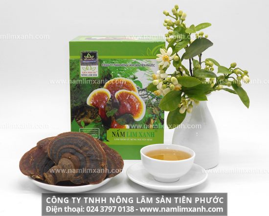 Bệnh tình chuyển biến tích cực nhờ công dụng nấm lim xanh