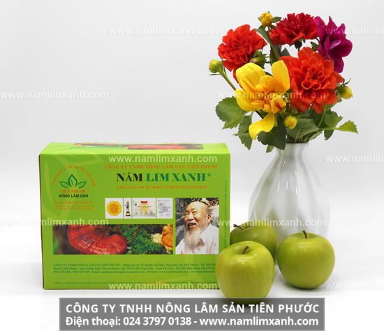 Bị viêm đại tràng do đâu và cách dùng nấm lim xanh chữa viêm đại tràng