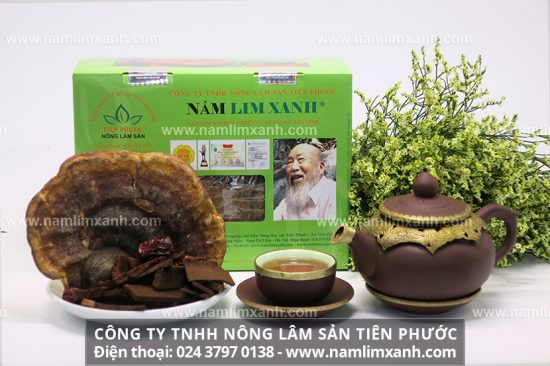 Các dược chất có trong nấm lim xanh còn có thể điều trị xơ gan