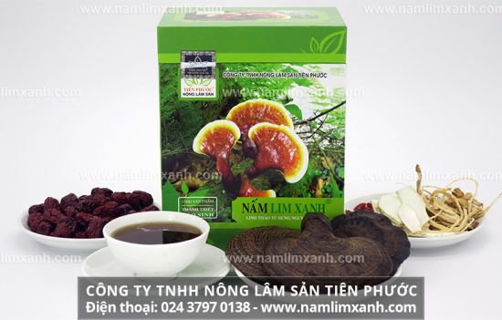 Các dược chất trong nấm lim xanh mới đảm bảo phát huy công dụng