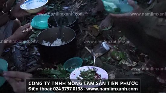 Cách bảo quản nấm lim xanh không bị mọt