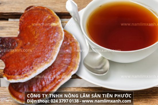 Cách chế biến nấm lim xanh sử dụng cho sức khỏe và điều trị bệnh