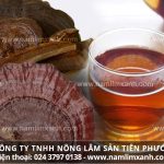 Cách chế biến nấm lim xanh với cách sơ chế nấm lim xanh sử dụng