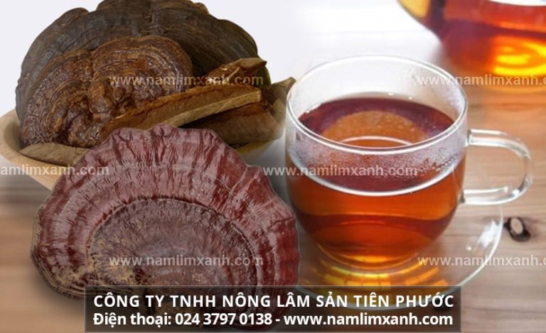 Cách chế biến nấm lim xanh với cách sơ chế nấm lim xanh sử dụng