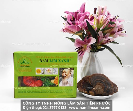 Cách chế biến và sử dụng nấm lim xanh