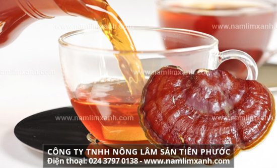 Cách đun nấm lim xanh đảm bảo chất lượng và giữ được dược chất