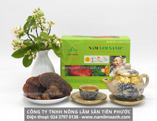 Cách đun nấm lim xanh đúng cách, đảm bảo chất lượng