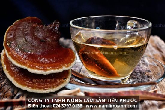 Cách dùng nấm lim xanh Tiên Phước các lưu ý sắc nấu uống nấm lim