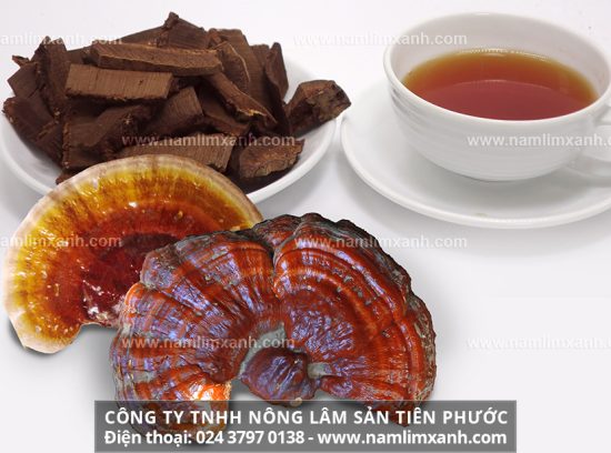 Cách dùng nấm lim xanh hiệu quả cách nấu uống ngâm nấm lim xanh