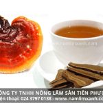 Cách dùng nấm lim xanh hiệu quả cho người bị đau dạ dày đại tràng