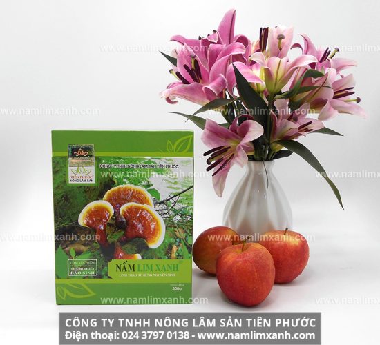 Cách dùng nấm lim xanh là gì và cách phân biệt cây nấm lim