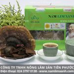 Cách làm sạch nấm lim xanh và cách sơ chế chế biến nấm lim rừng