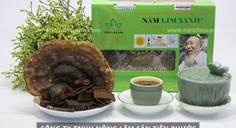 Cách làm sạch nấm lim xanh và cách sơ chế chế biến nấm lim rừng