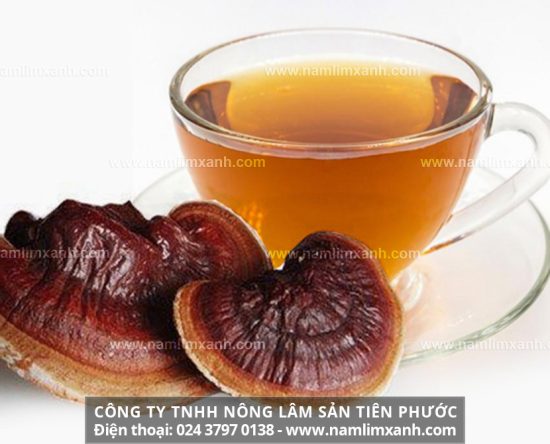 Cách nấu nấm lim xanh hiệu quả cách sử dụng nấm lim xanh đúng