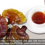 Cách nấu nấm lim xanh khô và cách uống nấm lim xanh rừng đúng