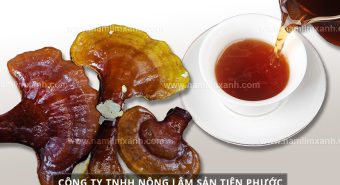 Cách nấu nấm lim xanh khô và cách uống nấm lim xanh rừng đúng