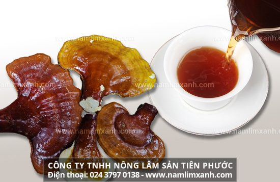 Cách nấu nấm lim xanh khô và cách uống nấm lim xanh rừng đúng