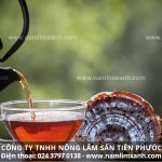 Cách nấu nấm lim xanh khô và cách uống nấm lim xanh rừng đúng