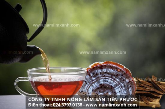 Cách nấu nấm lim xanh khô và cách uống nấm lim xanh rừng đúng