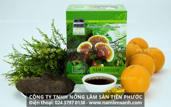 Cách nhận biết nấm lim xanh tự nhiên