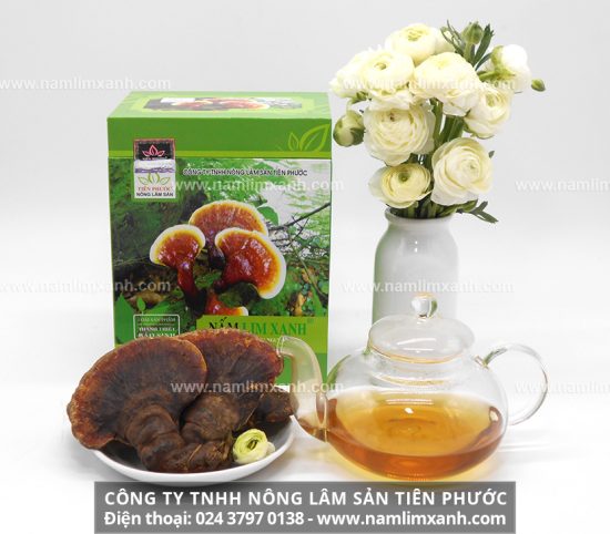 Cách sắc thuốc nấm lim xanh và sử dụng với cách nấu nấm lim xanh rừng