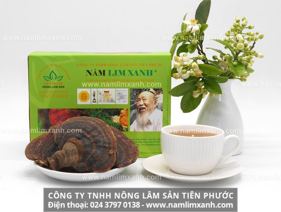 Cách sơ chế nấm lim xanh khô hiệu quả nhất