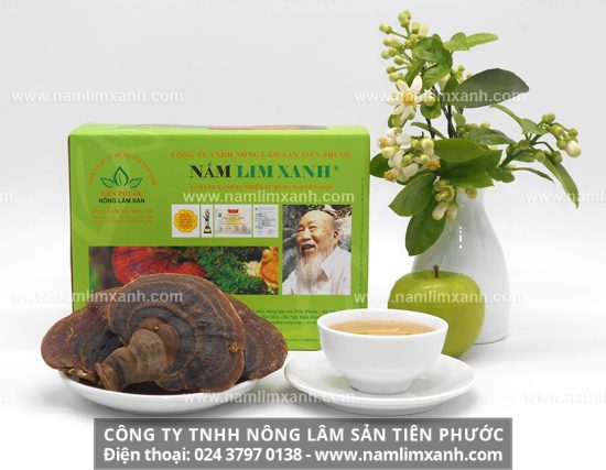 Cách sử dụng cũng như công dụng của nấm lim xanh