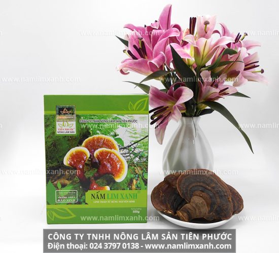 Cách sử dụng nấm lim xanh