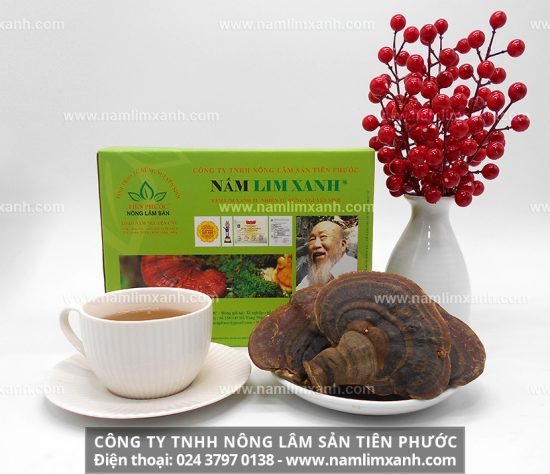 Cách sử dụng nấm lim xanh Quảng Nam