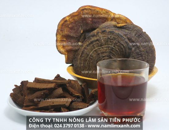 Cách sử dụng nấm lim xanh Tiên Phước