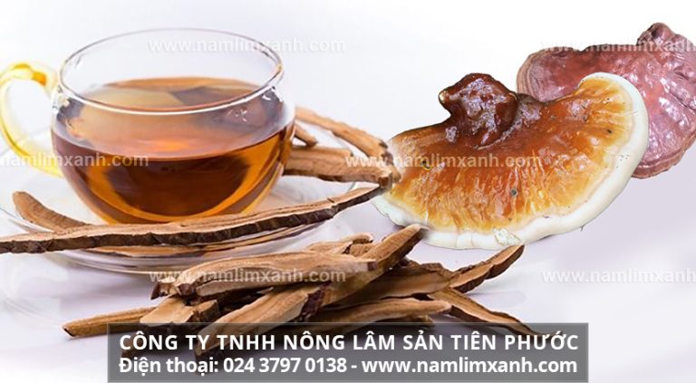 Cách sử dụng nấm lim xanh Tiên Phước những cách dùng nấm lim