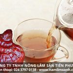 Cách sử dụng nấm lim xanh đạt hiệu quả cao trong điều trị bệnh