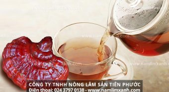 Cách sử dụng nấm lim xanh đạt hiệu quả cao trong điều trị bệnh