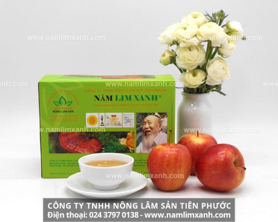 Cách sử dụng nấm lim xanh hiệu quả