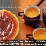 Cách sử dụng nấm lim xanh lưu ý hướng dẫn sử dụng nấm lim rừng