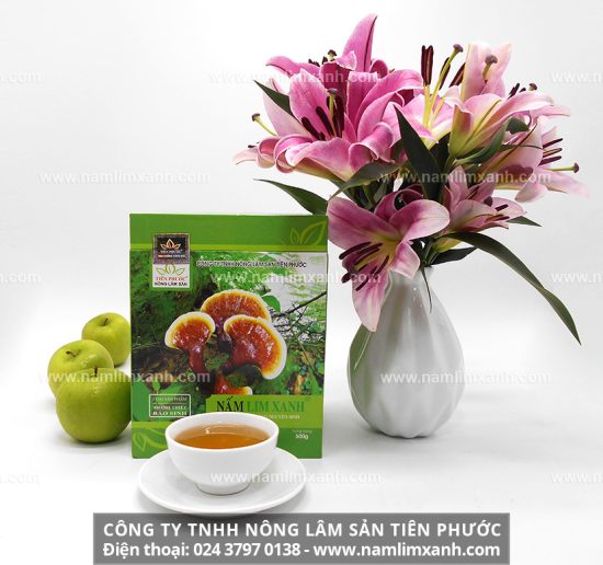 Cách sử dụng nấm lim xanh rừng Tiên Phước chữa bệnh