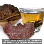 Cách sử dụng nấm lim xanh và bảo quản nấm lim rừng sau thu hái